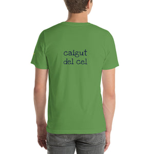Caigut del cel