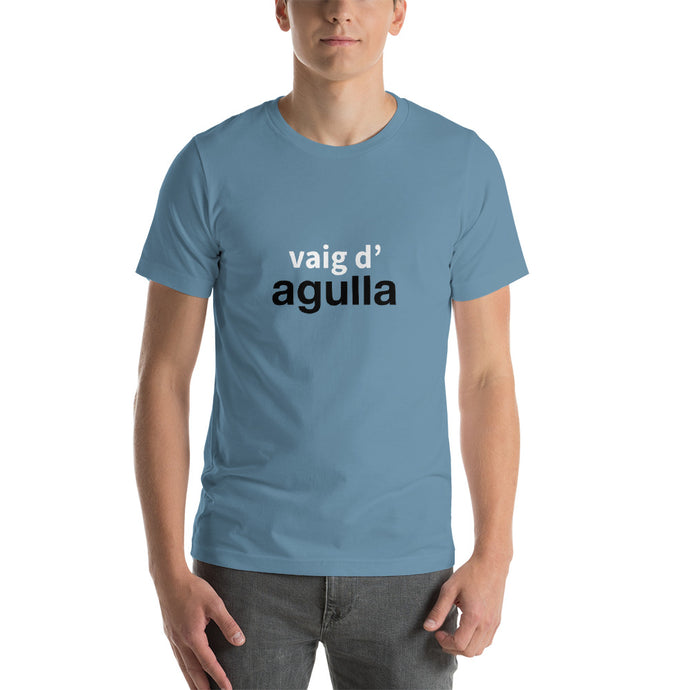 Vaig d'agulla