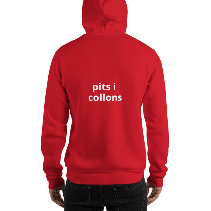 Pits i collons (posterior)