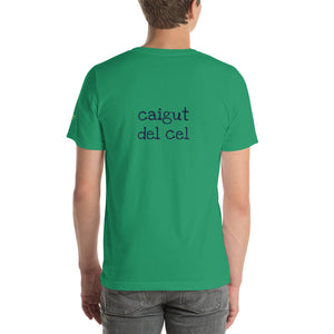 Caigut del cel