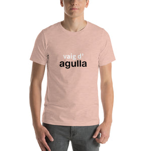 Vaig d'agulla