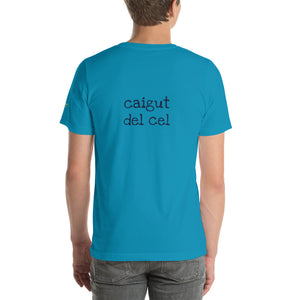 Caigut del cel