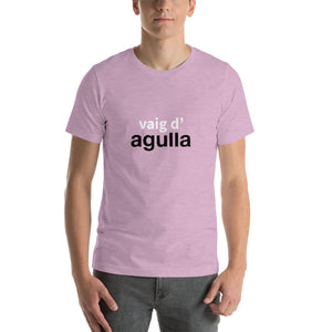 Vaig d'agulla