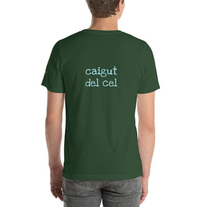 Caigut del cel