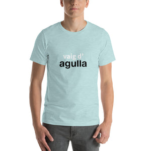 Vaig d'agulla
