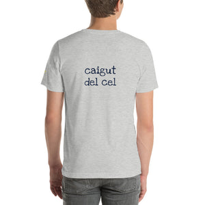 Caigut del cel